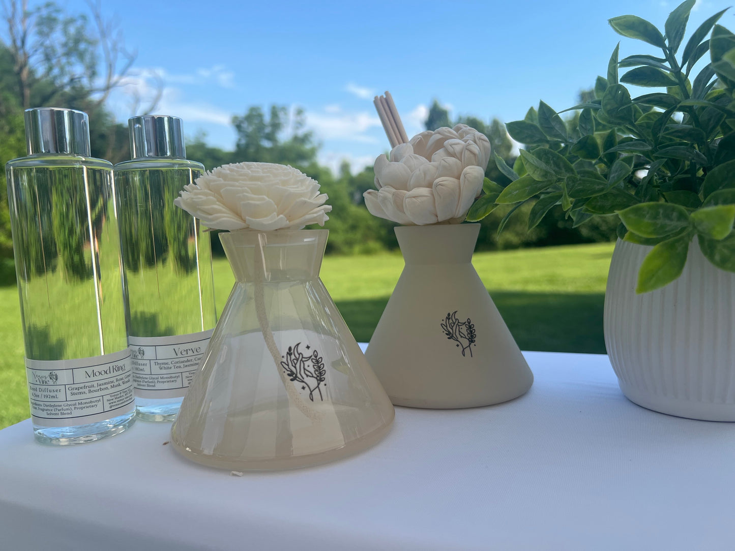 Reed Diffuser  image 1