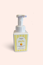 Foaming Hand Soap