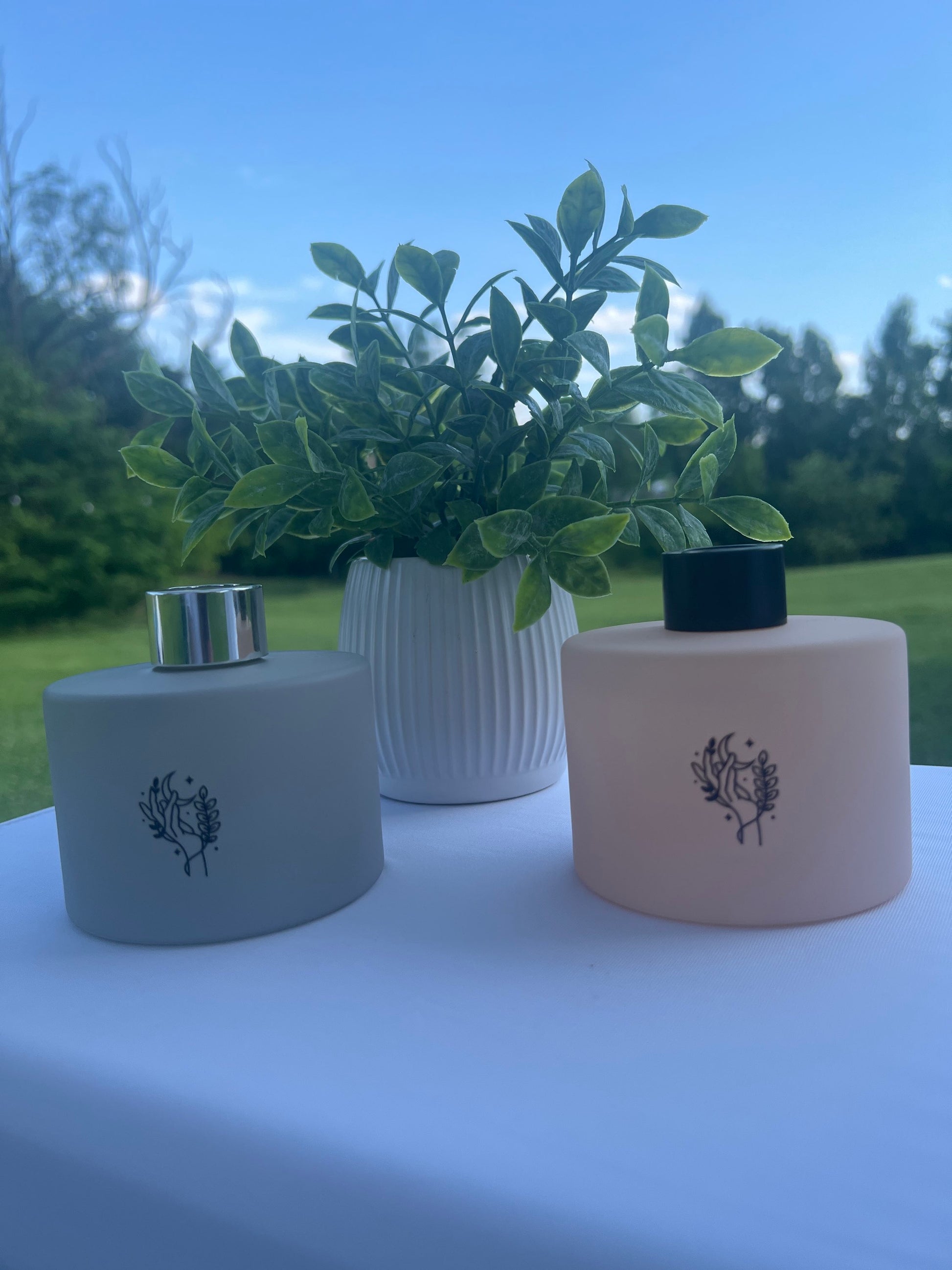 Reed Diffuser  image 3