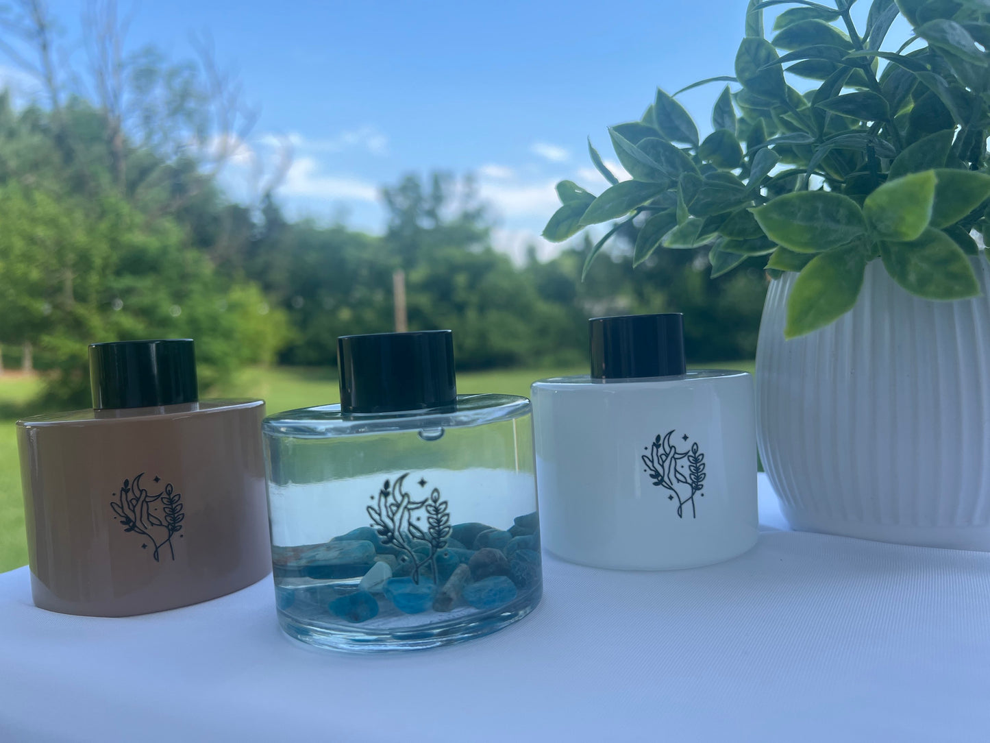 Reed Diffuser  image 2