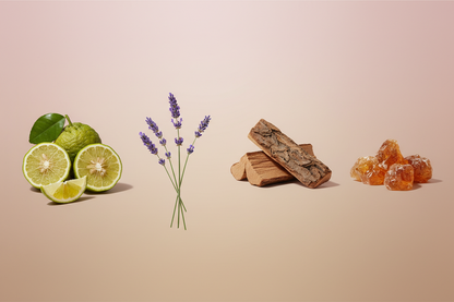 generate a modern product image displaying the following individual notes, with a pink/beige/taupe background: bergamot, lavender, cedar, amber 