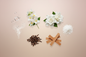generate an image showing individual notes for a modern product image, in a pink/beige/taupe background, including: ozone, jasmine, white florals, clove, sandalwood, musk